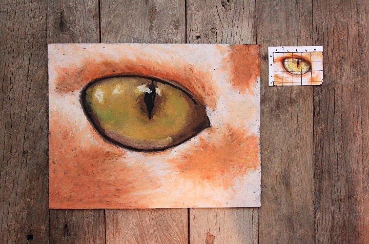 Animal Eye Study: Oil Pastel & the 'Chuck Close' grid method. - MIZ  GREENWOOD